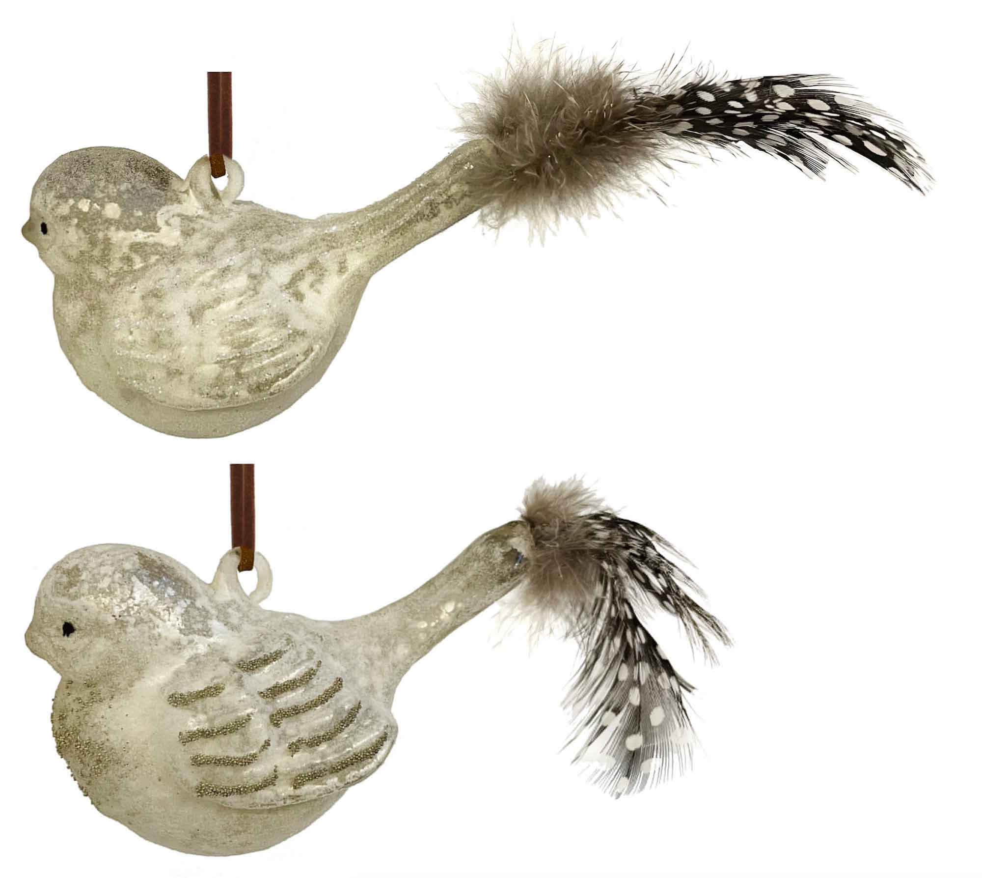 Glass Bird with Iced White with Feather Tail Ornaments