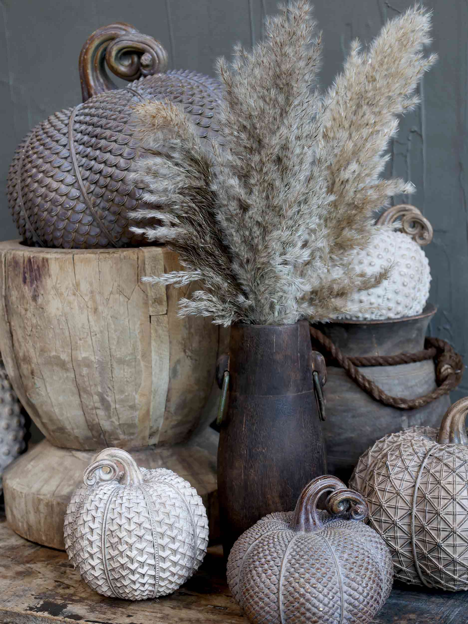 Auksinis raibas moliūgas – Antique Latte