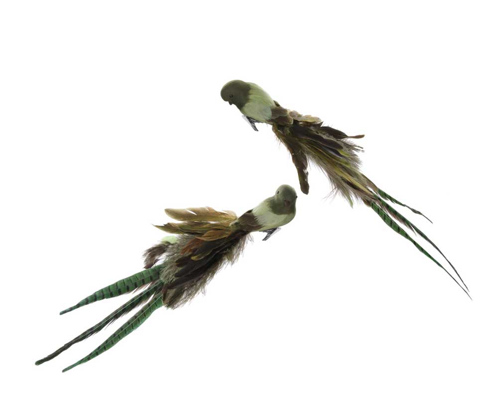 Bird With Clip Mixed Feather Tail Green 50cm