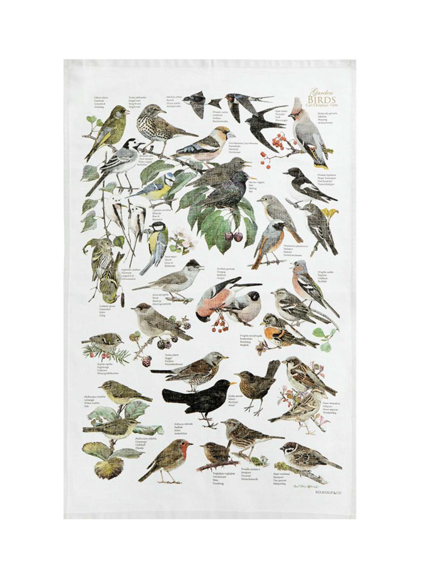 Organic Tea Towel - Garden Birds