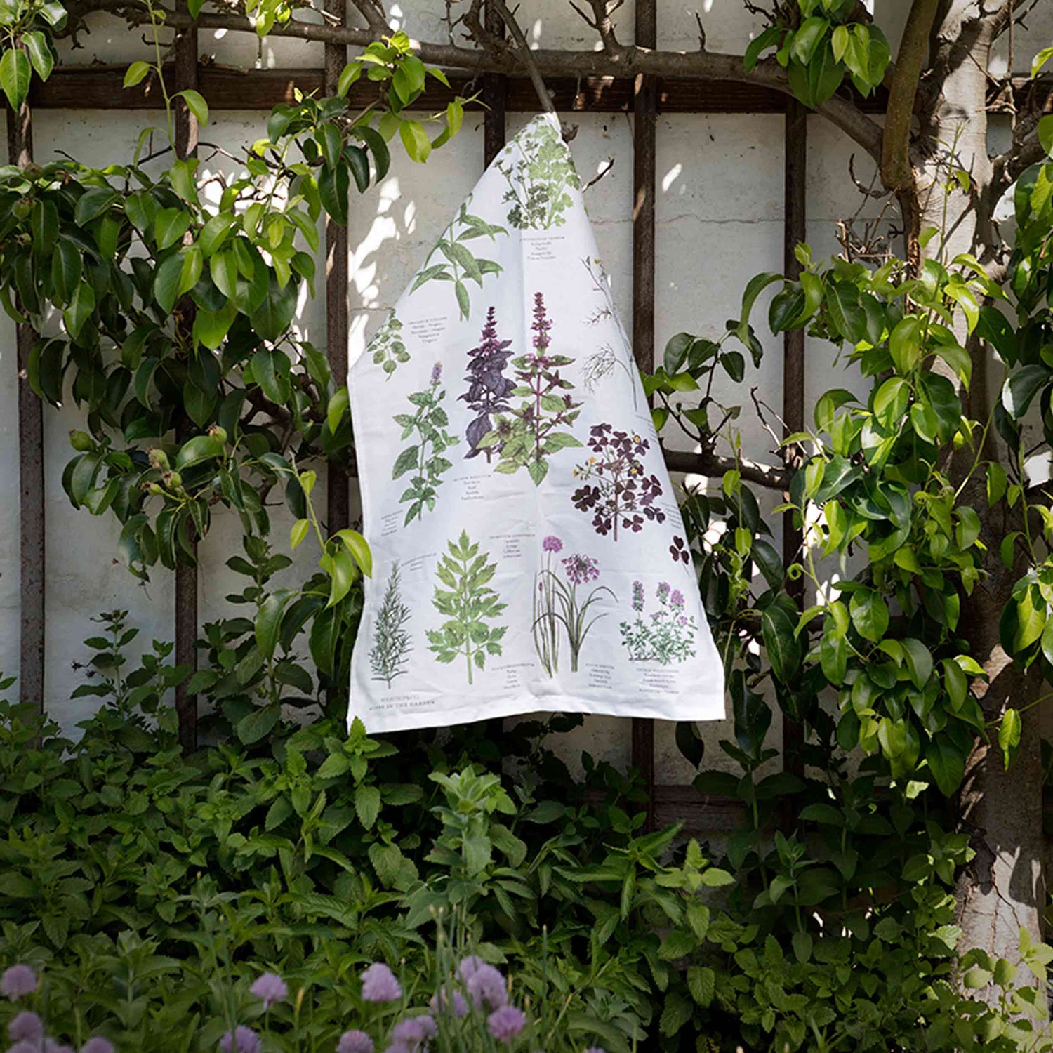 Organic Tea Towel - Herbs