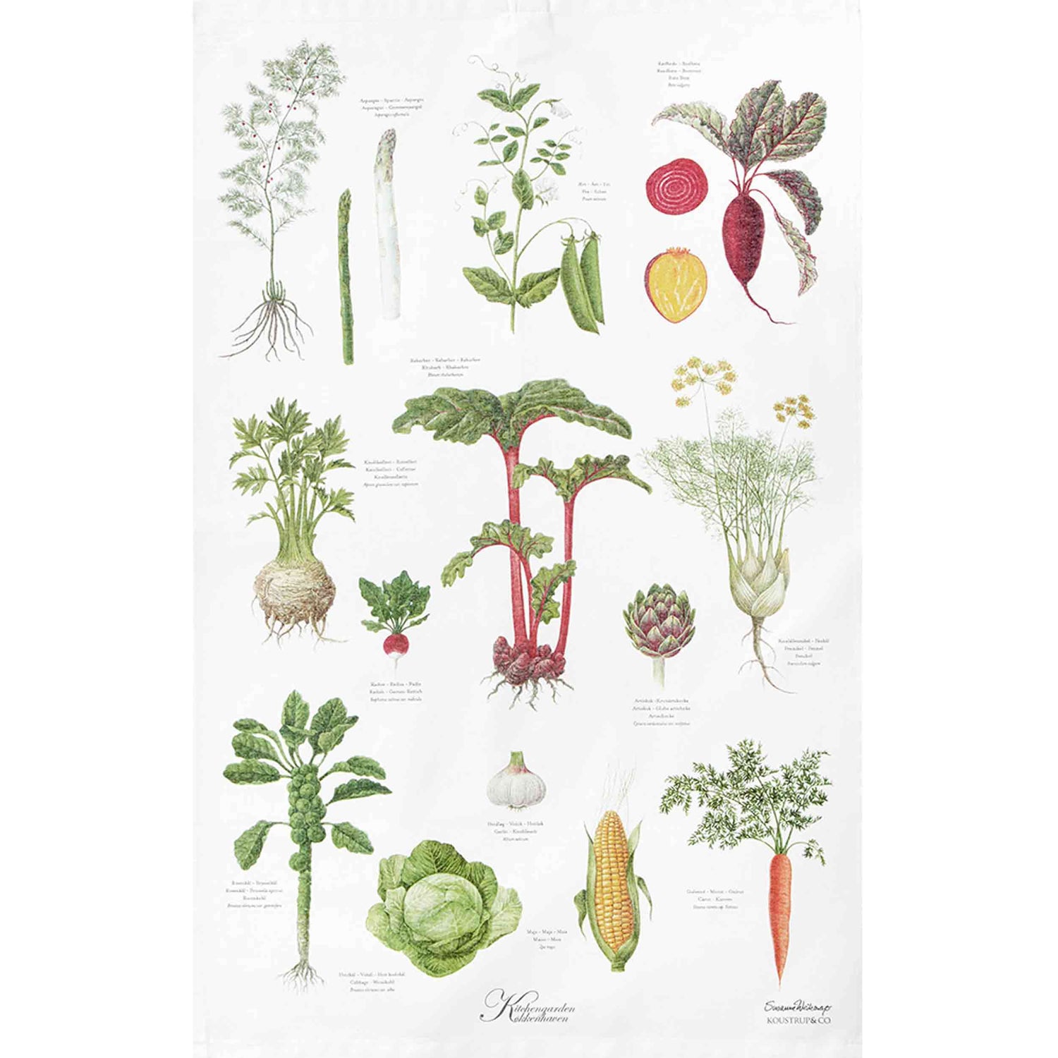 Organic Tea Towel - Kitchen Garden