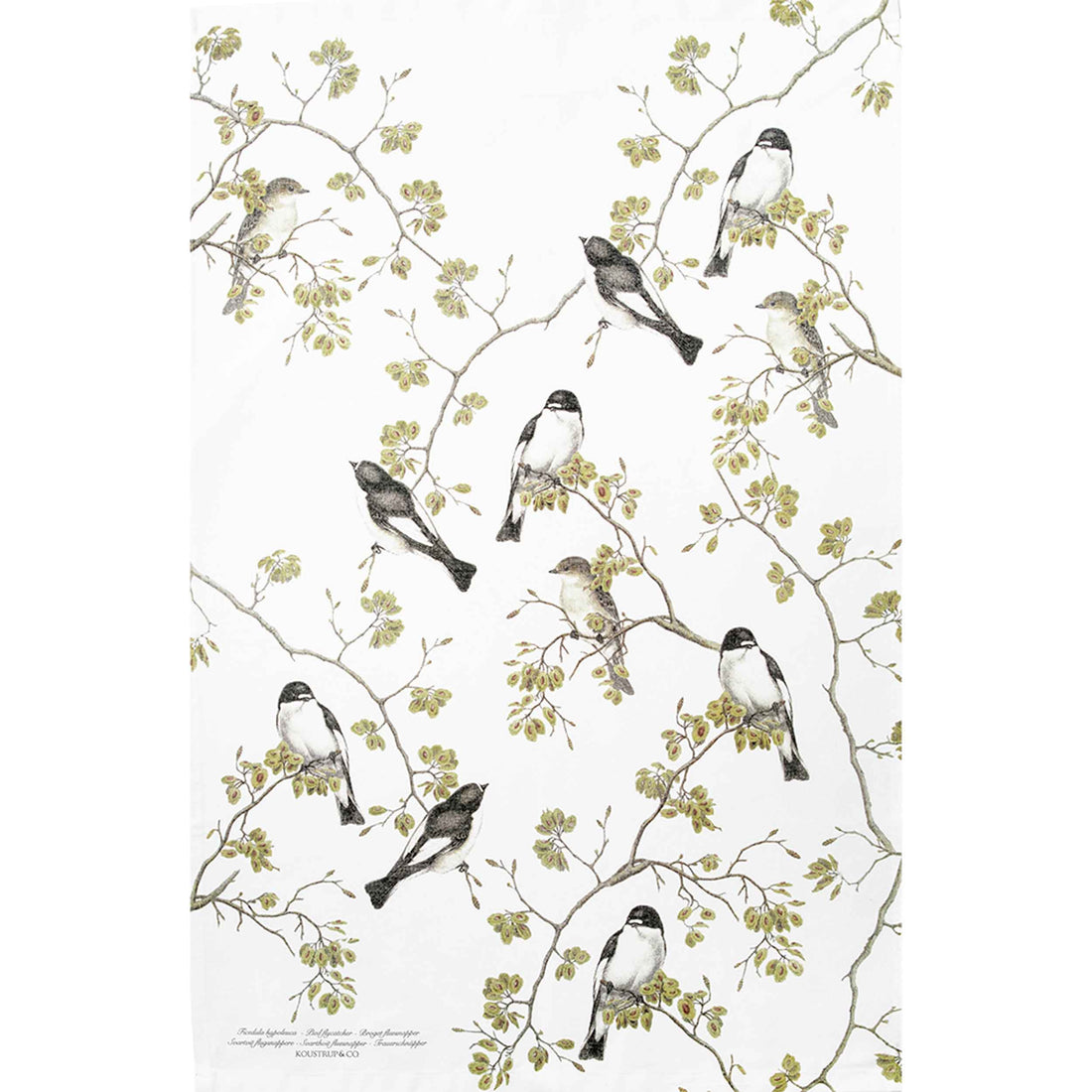 Organic Tea Towel - Pied Flycatcher