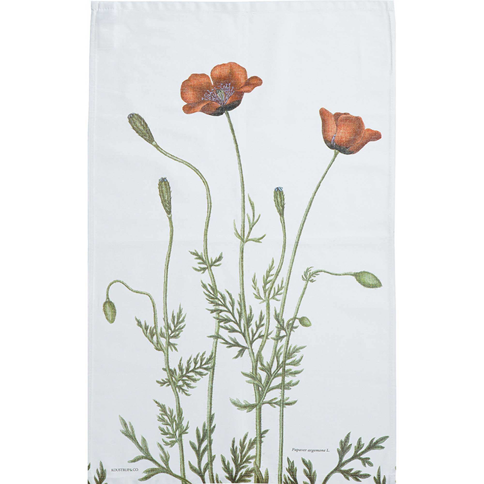 Organic Tea Towel - Prickly Poppy