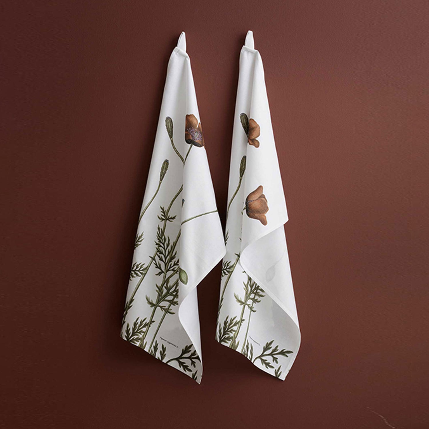 Organic Tea Towel - Prickly Poppy