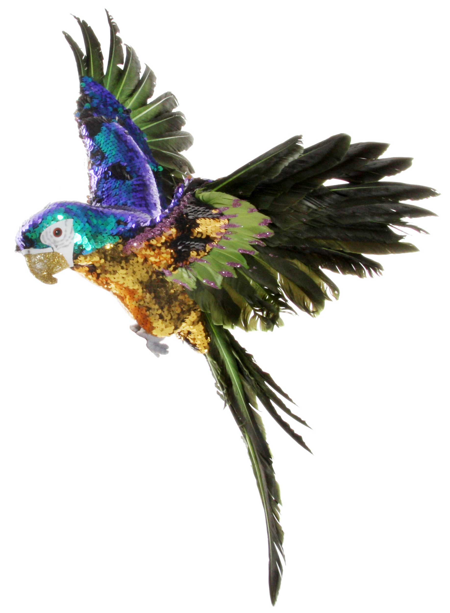 Parrot Flying