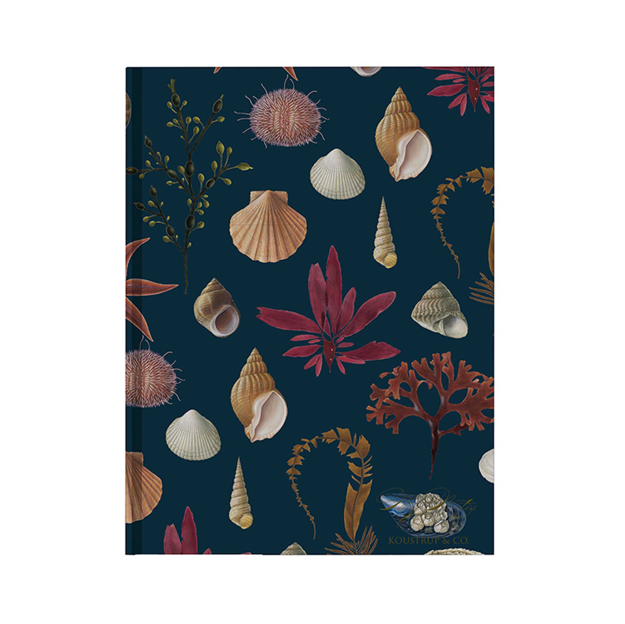 Shells Notebook - Recycled Paper