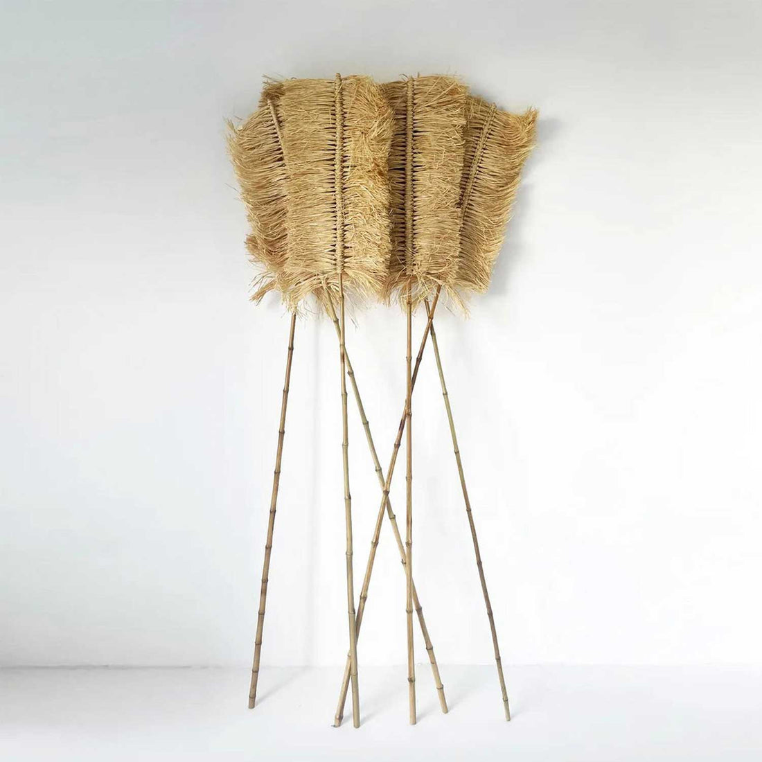 The-Raffia-Palmeira-standing