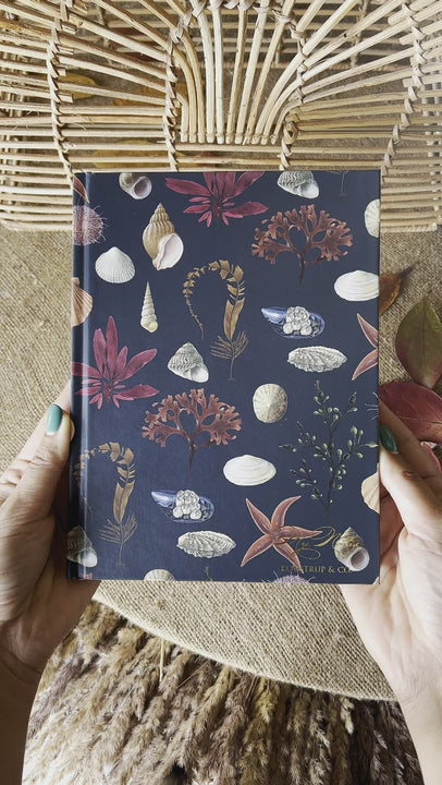 Shells Notebook - Recycled Paper